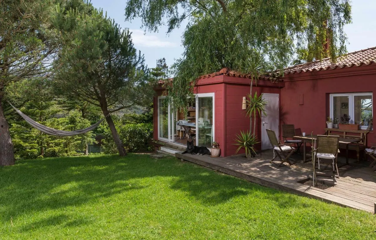 Villa Pajaro En Tarifa Con Vistas A Africa El Bujeo