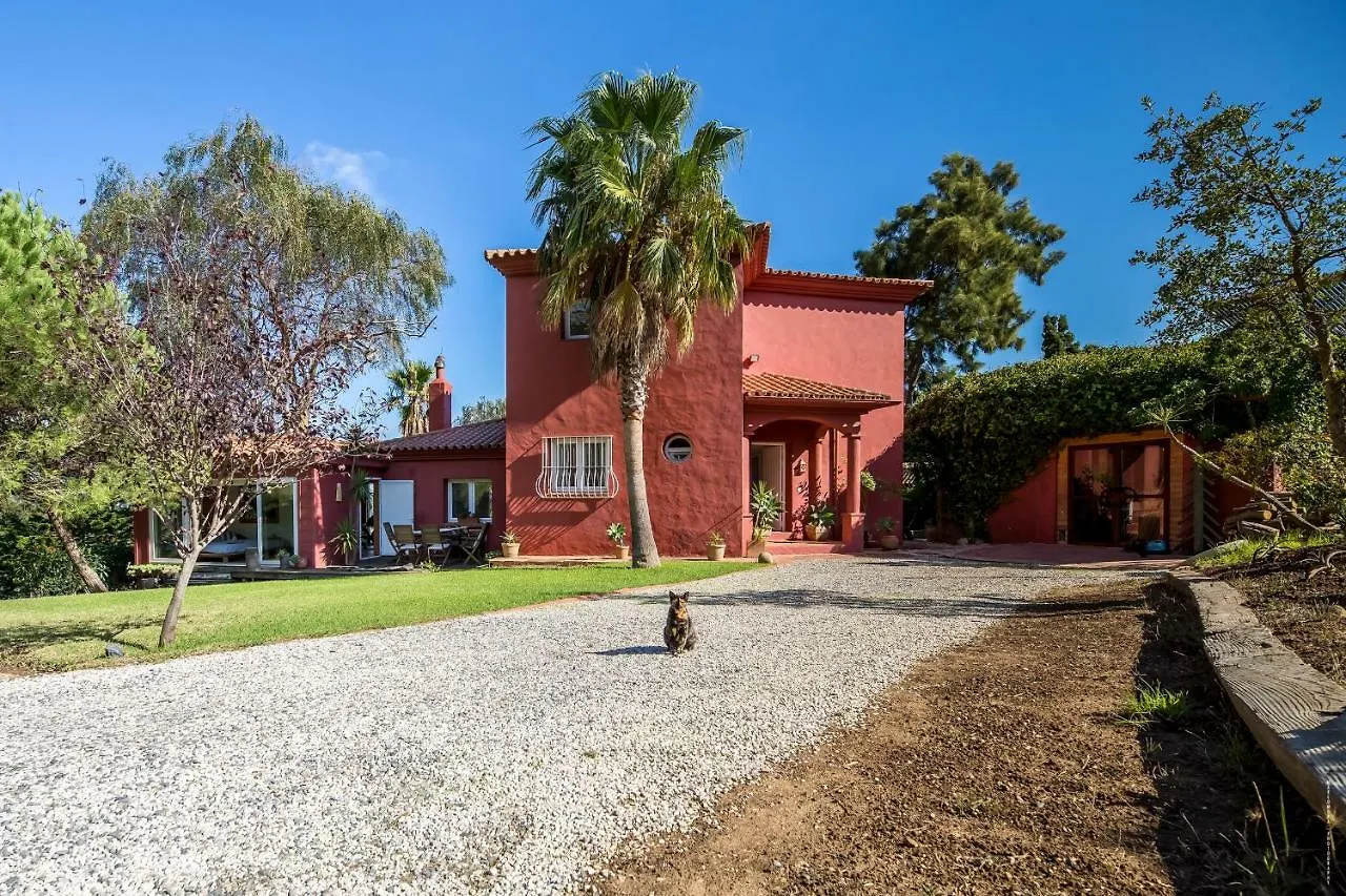 Villa Pajaro En Tarifa Con Vistas A Africa El Bujeo